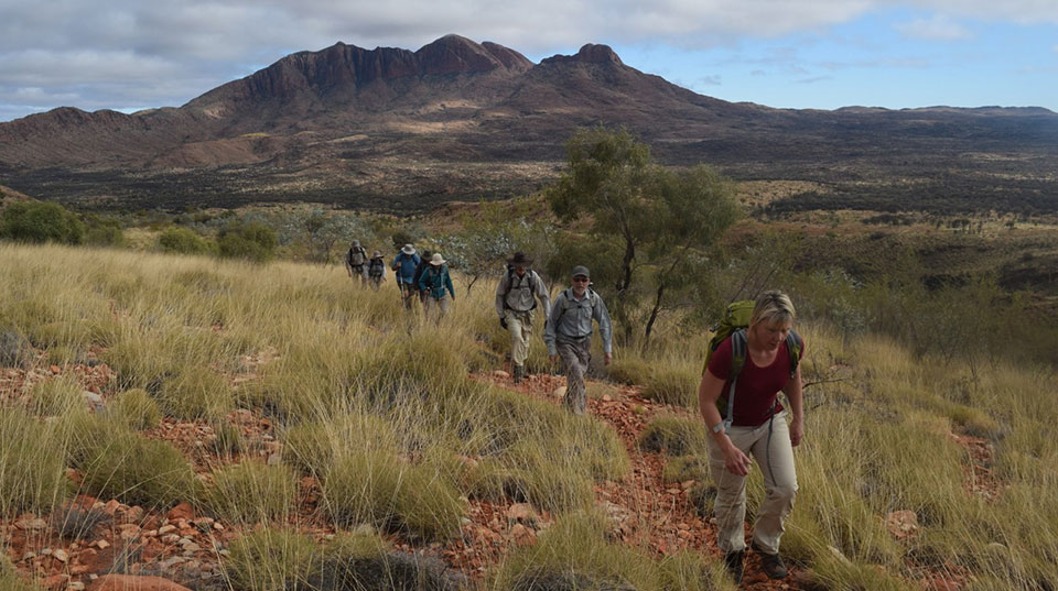 Group on a walk through wilderness