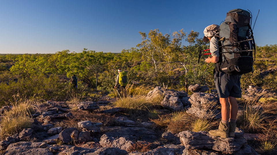 Trekker in the wilderness