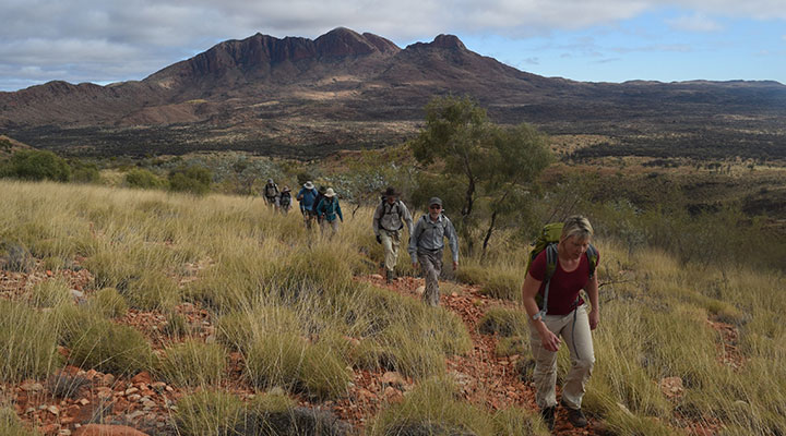 Group walking on the mountains