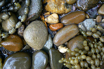 Close up of rocks on a river